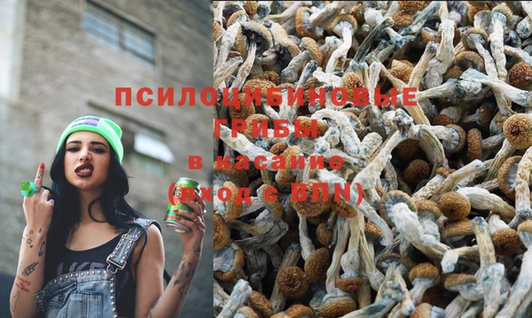 марихуана Алзамай